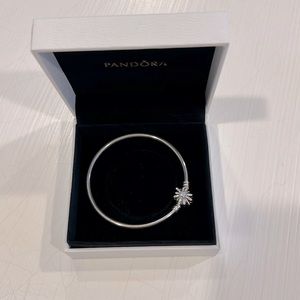 Pandora charm bracelet